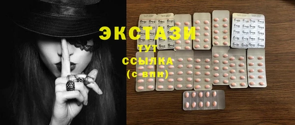 стаф Кулебаки