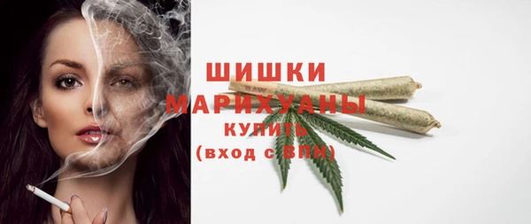 стаф Кулебаки
