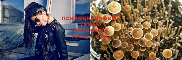 МДМА Куйбышев