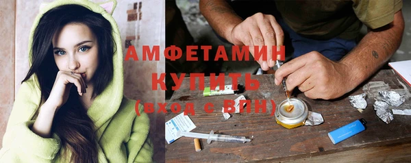 стаф Кулебаки