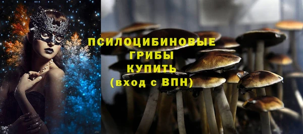 МДМА Куйбышев