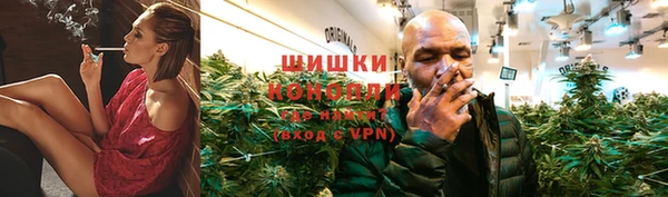 стаф Кулебаки